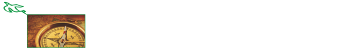 AR Travel Zone!